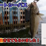 シーバス釣りたきゃココへ行け！横浜エリア・ボートシーバス　YDF /YOKOHAMA Diner Fishing club