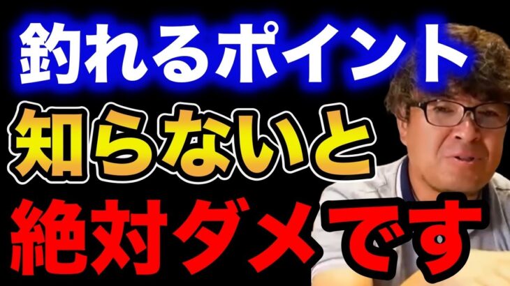 【村岡昌憲】釣れるポイントを知らないと絶対にダメです。【fishing 釣り 村岡昌憲 切り抜き ルアー釣り シーバス ノット リール】