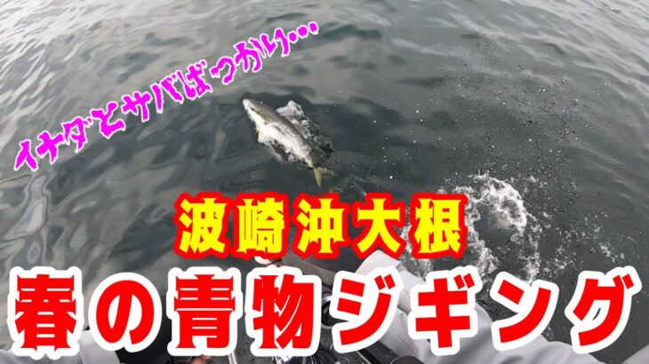 春の青物ジギングin波崎沖後編