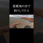 【lakebiwa】琵琶湖で釣りしてたら岸際で・・・#shorts