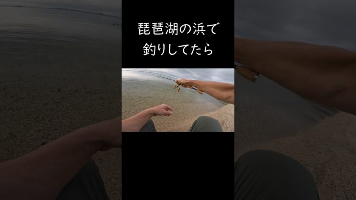 【lakebiwa】琵琶湖で釣りしてたら岸際で・・・#shorts