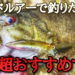 やっぱり釣れるl×lフューリアス。ハードルアーで釣りたい方は超おすすめ「バス釣り」「スモールマウスバス」「釣り方」