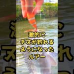 ブラックバス用ルアー❓️でもチヌが釣れまくる🎣 #釣り #shorts