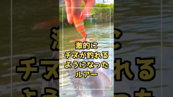 ブラックバス用ルアー❓️でもチヌが釣れまくる🎣 #釣り #shorts