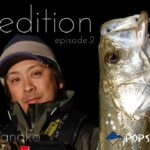 浜名湖のマイクロベイトパターンを攻略！【the expedition ep.2 in Hamanako】