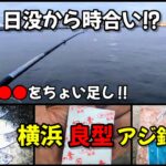 【アジ釣り】横浜で良型狙いのサビキ釣り!!コマセにアレをちょい足し!!時合いは日没後。ふれーゆ裏の状況です！