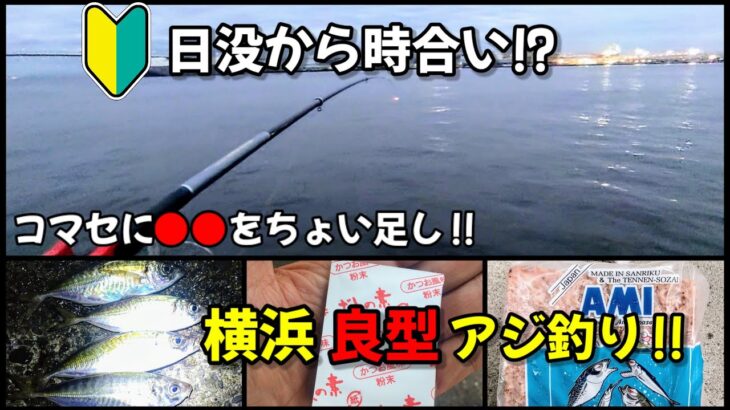 【アジ釣り】横浜で良型狙いのサビキ釣り!!コマセにアレをちょい足し!!時合いは日没後。ふれーゆ裏の状況です！