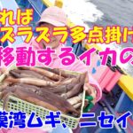 高速移動するイカを攻略しよう！当たればズラズラ多点掛け！【ムギイカニセイカ釣り】【直結仕掛け】【多点掛け】