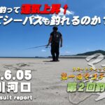 【後半戦突入】 追波川でシーバス狙い！ヒラメが釣れたのでシーバスも釣れるかな？