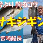 宮崎船長が教える！イサキのジギング釣り入門🔰同船者よりも釣れるコツを伝授🎣