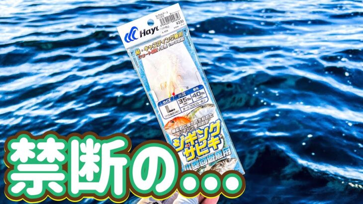 【禁断の】反則級に釣れすぎる⁉️泳がせもやってみると❗️【ジギングサビキ🎣】