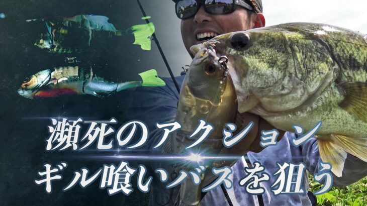 【バス釣り】デッドライズで瀕死の誘い！アフター回復系バスを釣るギルパターン/村上祥悟