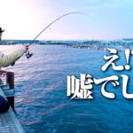 【アジング】小型のアジの下に大きいアジが居た！！！入れ喰いアジング！そしてまさかの大型魚までも！！！