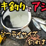 〚周防大島〛日中にサビキ釣りでアジが釣れるのか？ランガンすると唯一ここだけ釣れました🎉