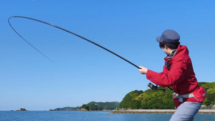 【衝撃映像】とんでもない巨大イカが釣れてしまった！！