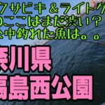 ６月梅雨明けまでここは渋い？トリックサビキ＆ライトゲームで釣れた魚は…！？【東扇島西公園】【神奈川県】