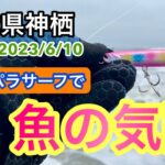 【茨城県神栖サーフ】台風後のサーフでジグパラサーフのカラーローテで魚の気配を感じてきました