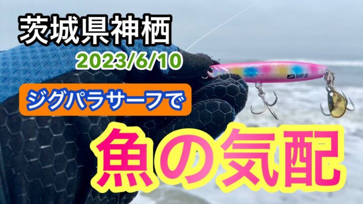 【茨城県神栖サーフ】台風後のサーフでジグパラサーフのカラーローテで魚の気配を感じてきました