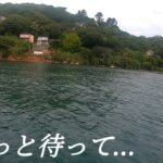 巨大アジが入れ喰いする湾内で襲うのは全く予想外の大物だった！