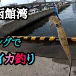 【函館釣り】エギングで、ヤリイカ釣り！！