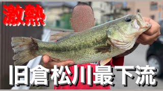 【埼玉バス釣りポイント】今釣りたきゃ旧倉松川最下流！春日部オススメポイント！【バス釣り】