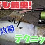 【エギング】新釣法⁉テクエギってなに？？激流攻略すればモンスターが釣れる確率アップする⁉