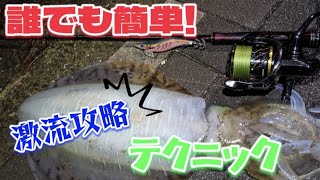 【エギング】新釣法⁉テクエギってなに？？激流攻略すればモンスターが釣れる確率アップする⁉