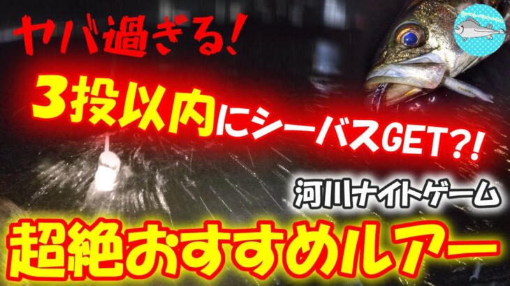 ３投でシーバス釣れた超絶おすすめルアーあります♪