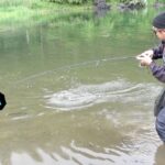 【バス釣り】でかいルアーでバスを寄せて小さなルアーでトドメを刺して釣る方法！