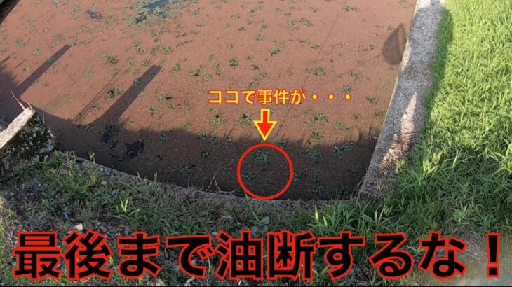 【衝撃】まさに衝撃映像 ⁉︎ ルアーを足元まで引いてたらいきなり・・・【バス釣り】