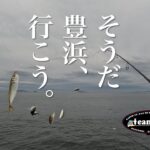 豊浜釣り桟橋で大漁！サビキ釣り。