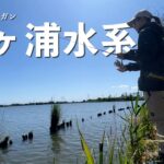 タフすぎて壊れました・・【霞ヶ浦バス釣り】