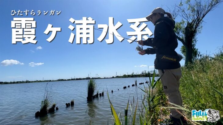 タフすぎて壊れました・・【霞ヶ浦バス釣り】