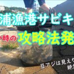 【サビキ釣り】和歌山田ノ浦漁港サビキ釣り　釣れない時の豆アジ釣り方