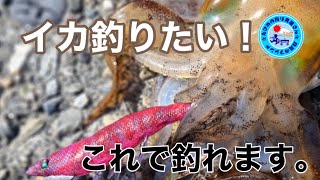 【初心者の方必見】おすすめエギングアイテム。エギ•リーダー•バッグ