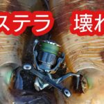 【エギング】壊れたステラで春の良型アオリ釣り