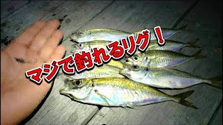 【アジング新システム】渋いアジを根こそぎ釣るリグ発見！マジで釣れるぞ！