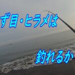 夕まず目ヒラメ釣れるか