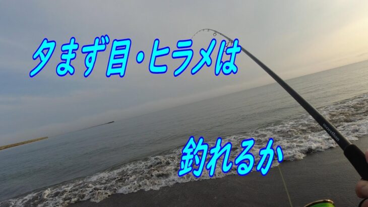 夕まず目ヒラメ釣れるか