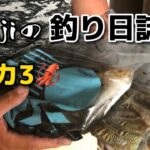 【北九州釣り】本日の釣果‼️イカ🦑