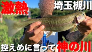 【埼玉バス釣りポイント】バス釣りしてたら…爆釣！神の川　槻川！【トラウト】