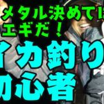 イカメタル　入門編　良型も釣れてサイコー！