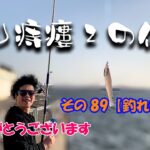 【ちょい投げ釣り&サビキ釣り】ダァぁぁ！一投目でキスが釣れる。釣った魚をリリースしたあとの言葉が独特。