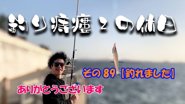 【ちょい投げ釣り&サビキ釣り】ダァぁぁ！一投目でキスが釣れる。釣った魚をリリースしたあとの言葉が独特。