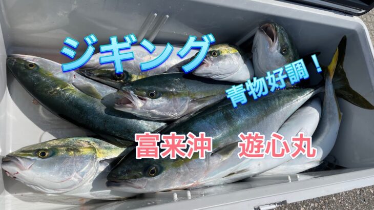 【遊心丸】もはや作業！ジギングで青物が釣れまくる