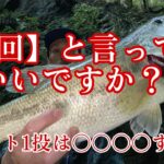 【バス釣り】神回でもいいですか？#バス釣り #ブラックバス #スモールマウスバス