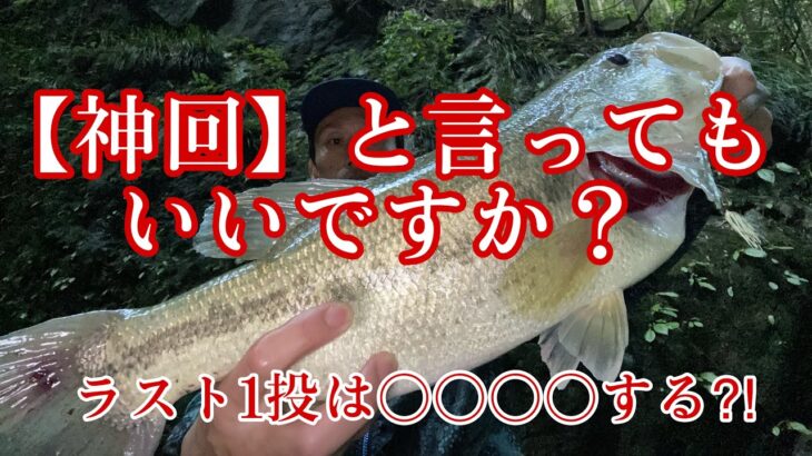 【バス釣り】神回でもいいですか？#バス釣り #ブラックバス #スモールマウスバス