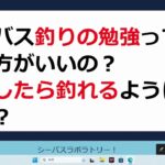 シーバス釣りの勉強ってした方がいい？　適切な勉強方法についてアドバイス