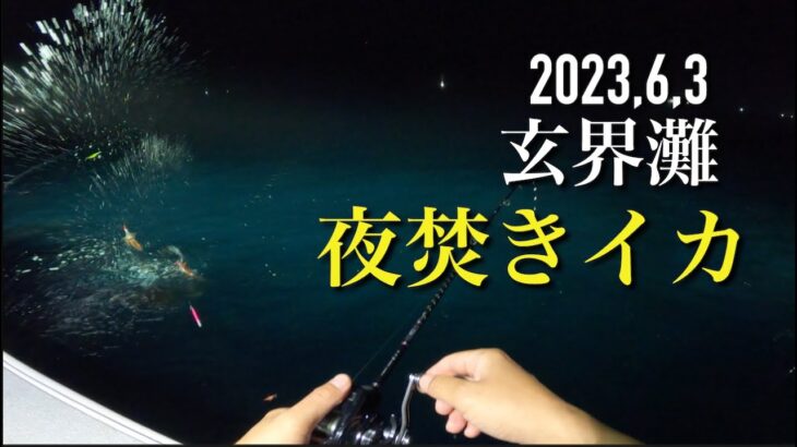 “玄界灘” 夜焚きイカ  メタルに反応  ミサイルのように追っかけてくるイカ‼️船べりで仕留める