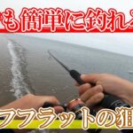 高級ヒラメ・絶品マゴチはサーフで簡単かつシンプルな初心者向けの釣りです。【釣り図鑑＃４】